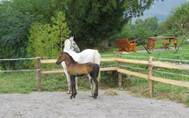 Lipizzaner Lodge