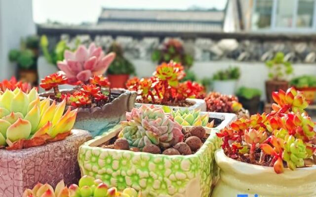 Dali Ruoxianju Bed and Breakfast (Foreigner Street Branch)