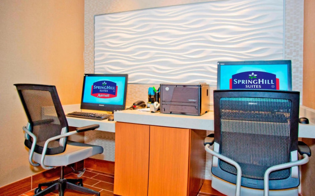 Springhill Suites by Marriott Pittsburgh Mt. Lebanon