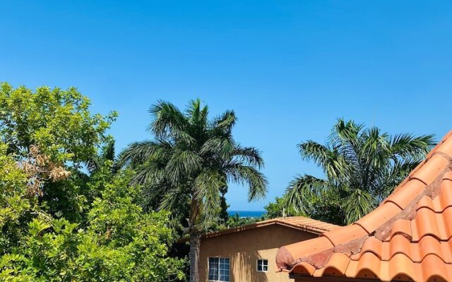 Montego Bay Ironshore  Luxury Studios