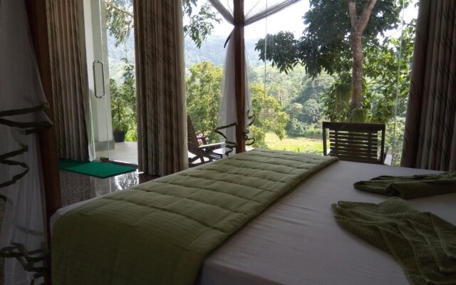 Evergreen Villa - Sinharaja