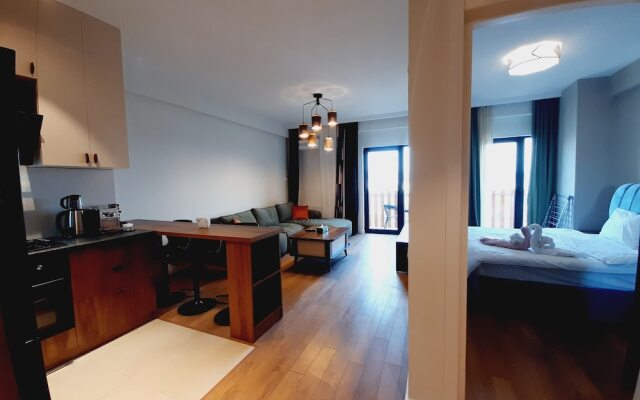 Furnished Cozy & luxury Flat