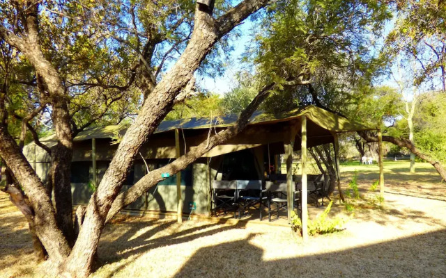 Thorn Tree Bush Camp