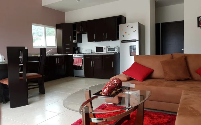 Departamento Panoramico Ribera de Chapala