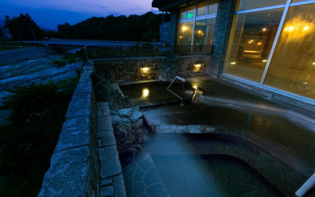 Onneyu Onsen Ryokan Oe Honke