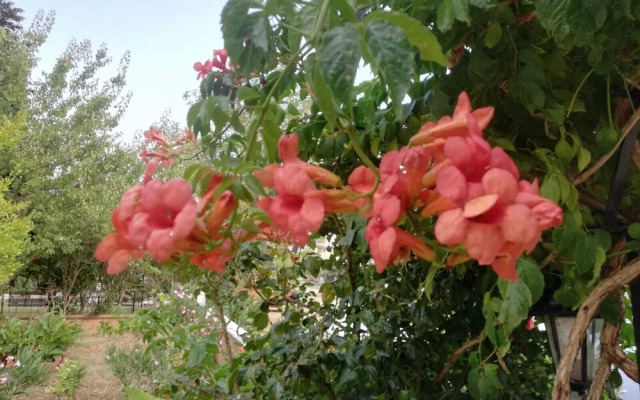 Annem Apart Pansiyon