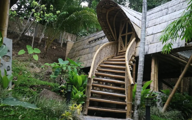 The Osing Bamboo - A Liberta Collection