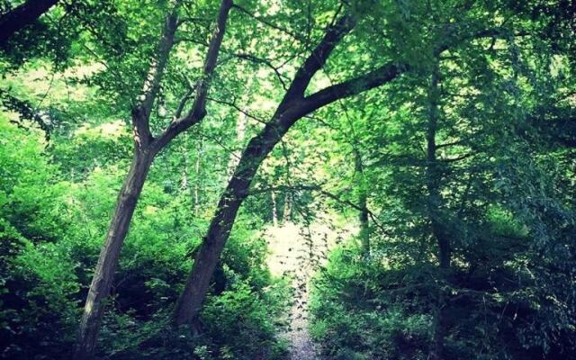 Luxe vakantiehuis Chatododo