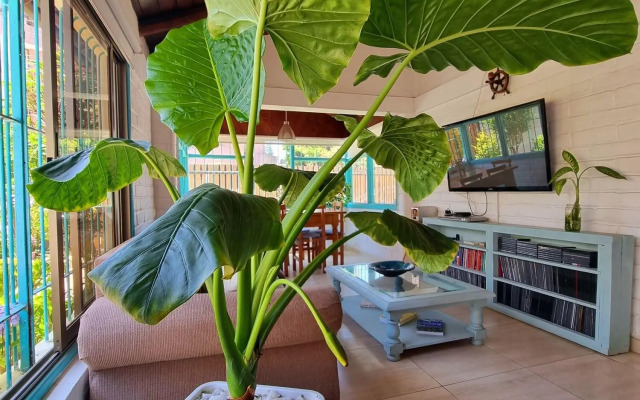 Reñaca House B&B
