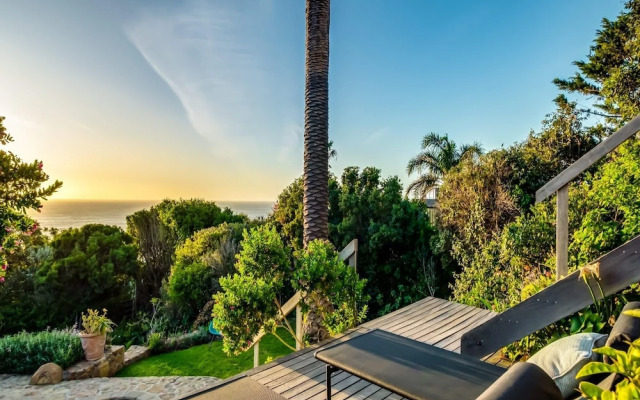 The Palm in Cape Town