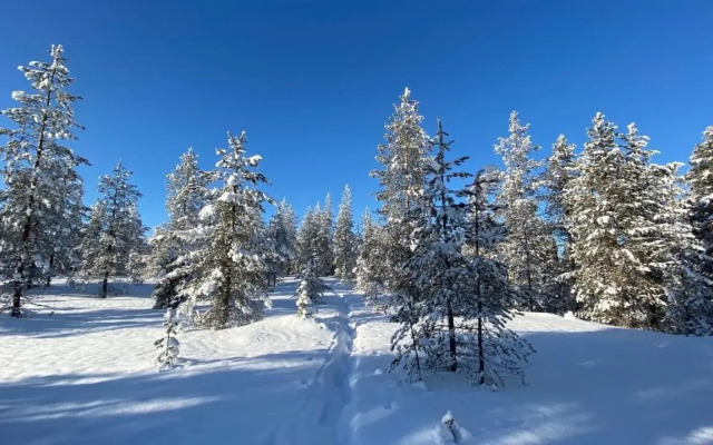 Lapiosalmi Wilderness Center