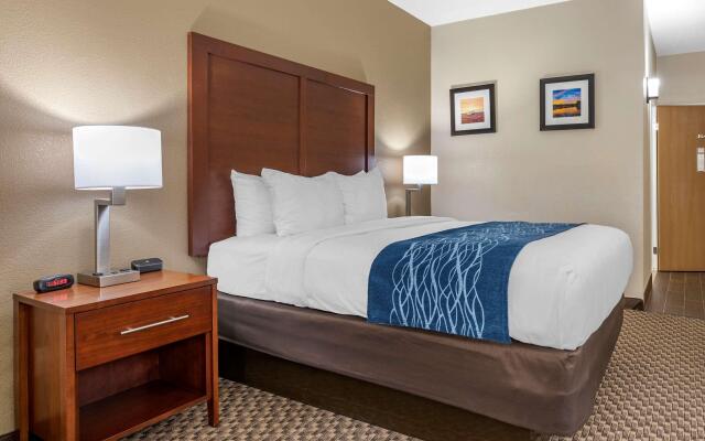 Comfort Inn Near Kokomo Speedway