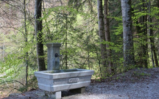 Hotel Restaurant Du Vanil Noir