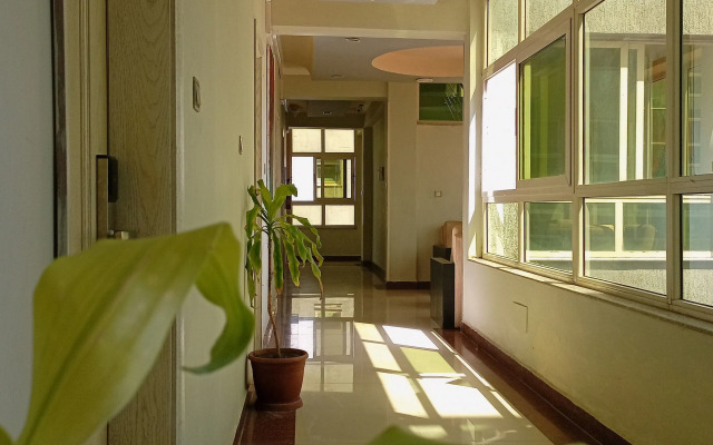 Central Hawassa hotel