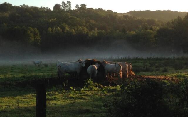 Le Manoir De Sauvegrain