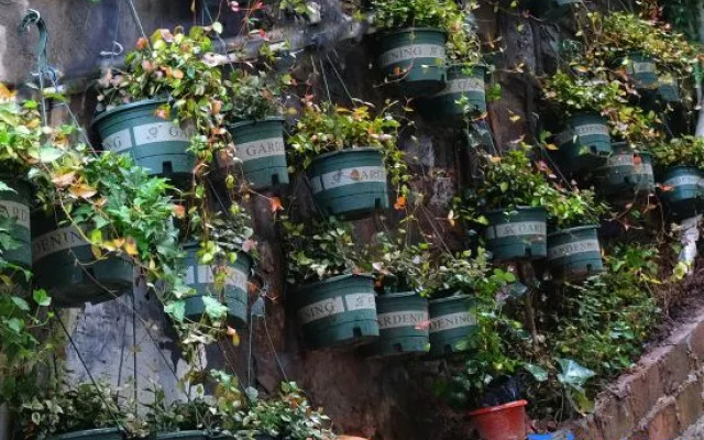 Just Like First See Homestay