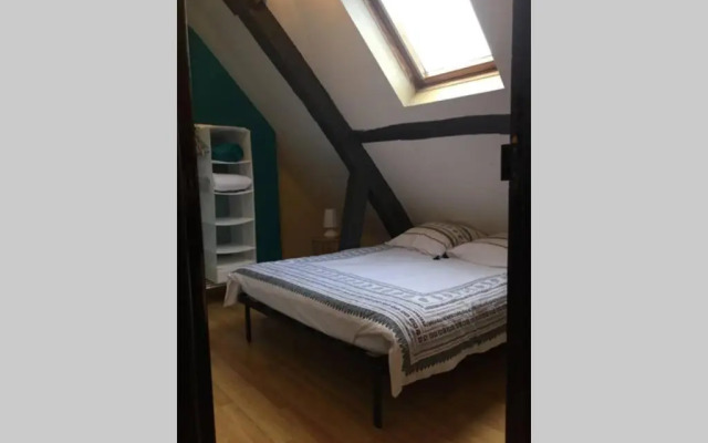 T3 duplex industriel hyper centre ville historique