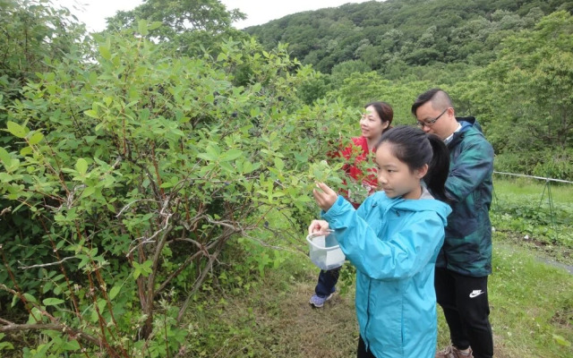 Farm Inn Anima no Sato