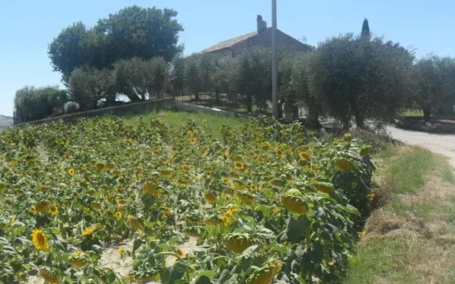 Casale Santa Trinita