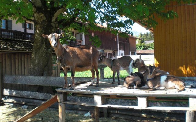 Ferienwohnungen Berghammer