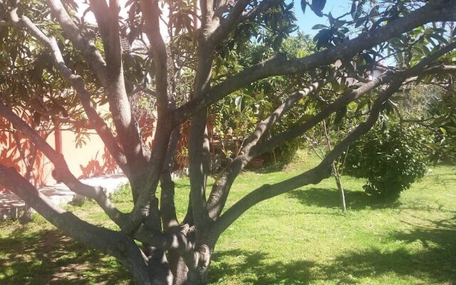 janas b&b