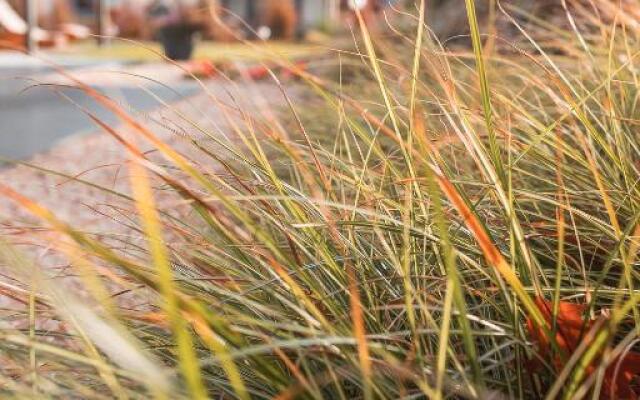 Sniezka Exclusive Apartamenty