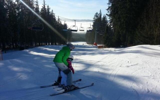 Myši V Botě Lipno
