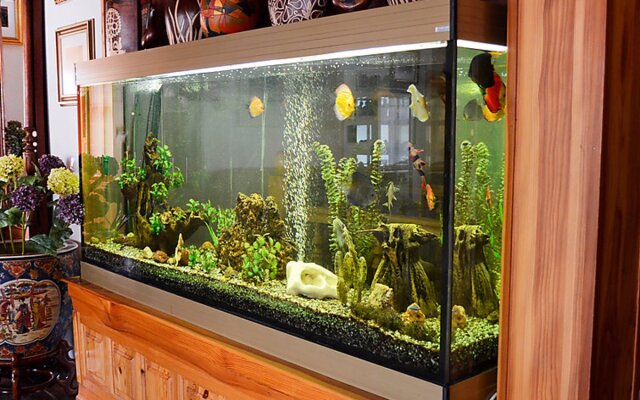 House Borówna Borowna 27547