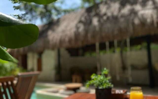 Zereno Tulum Beach Club Access