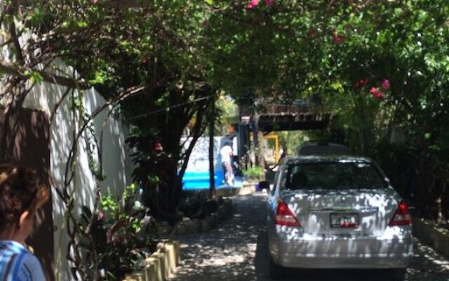 Lobo Inn - Hostel