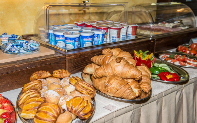 Hotel Cerny Slon