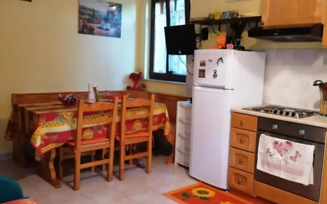 Lovran holiday at the beach with your dog