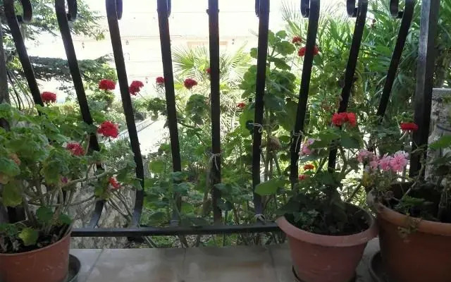 Cozy three bedroom holiday home in Barbat