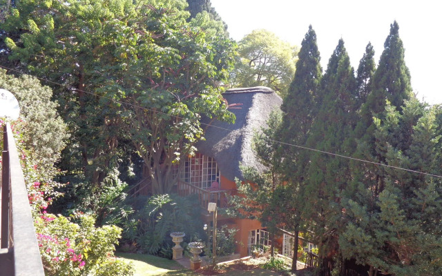 TreeTops & Treats Guest House