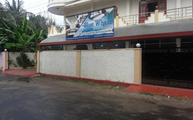 Hotel Blue Whale