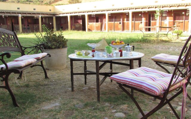 Cavalli di S'Arcaite