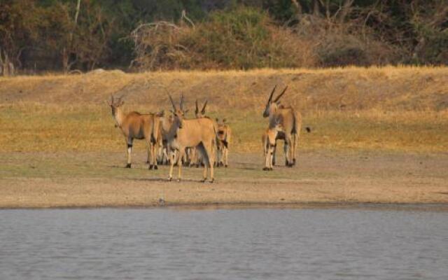 Chaminuka Lodge and Nature Reserve