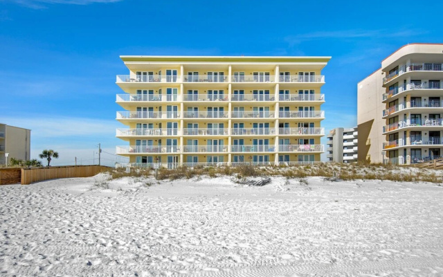 Sea Dunes 501