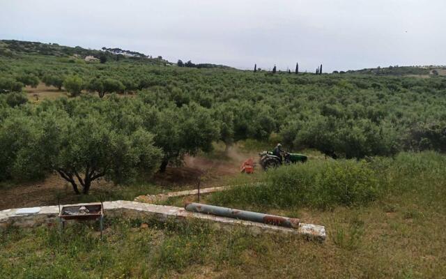 Studio Retreat Paleopoli