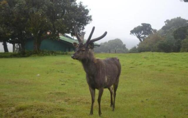 Hill Safari Eco Lodge