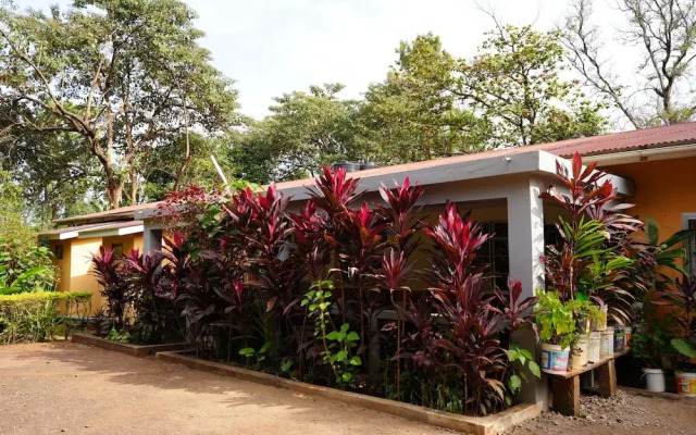 jacaranda homestay