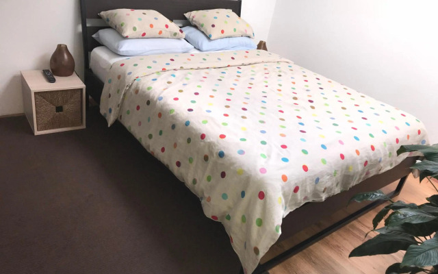 luxury apartment mihai bravu