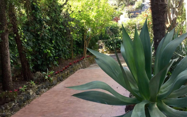 Quinta Maria