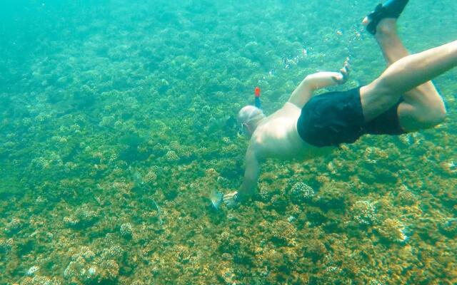 Casa de Campo Pedasi