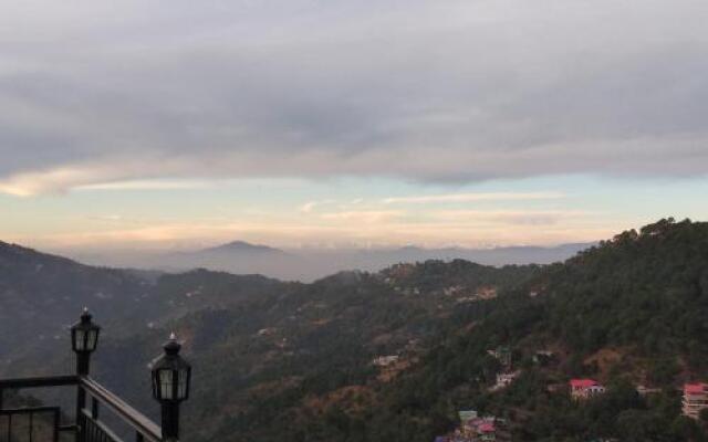 Orchid kasauli