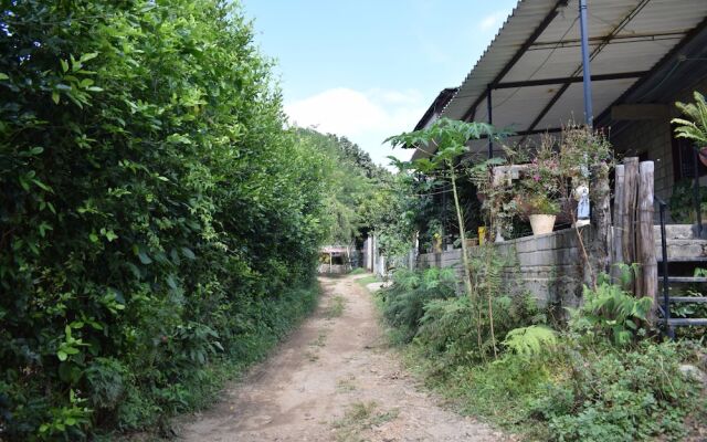 Hospedaje Los Pinos, cabaña en Minca