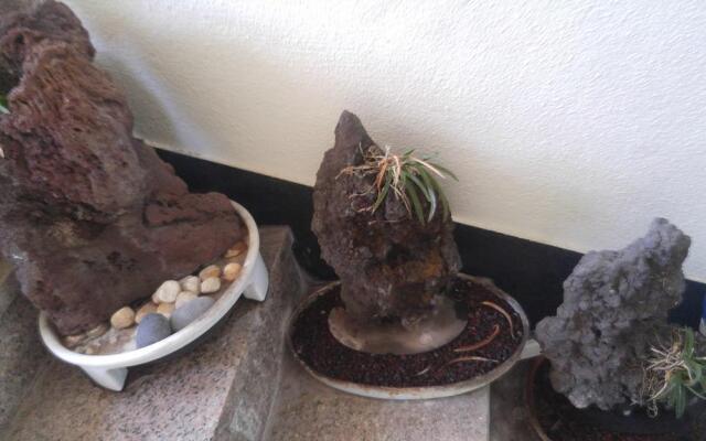 Sea Dragon Pension