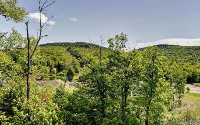 Chalet - 305- 33 Chemin Du Hameau