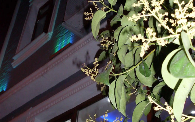 Taksim Antique Suites