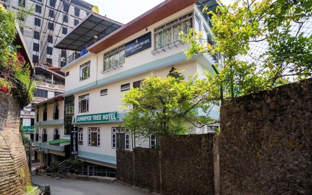 Sparrow Juniper Tree 2 min walk To Mg Marg